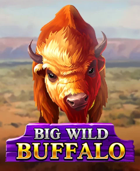 Play Big Wild Buffalo at U Play Ma Casino
